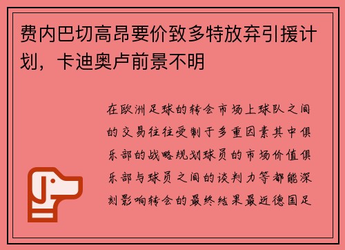 费内巴切高昂要价致多特放弃引援计划，卡迪奥卢前景不明